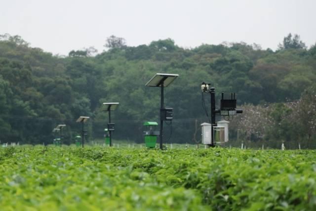 1680765255684195.jpg 12.jpg