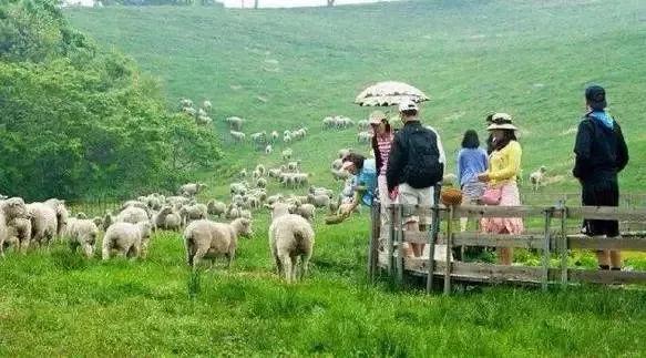 1680939979917157.jpg 18.jpg